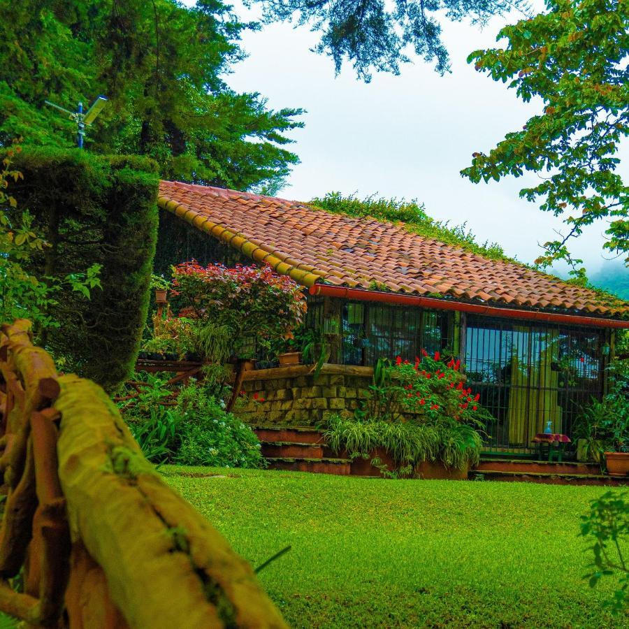 Los Naranjos Town Houses Buitenkant foto