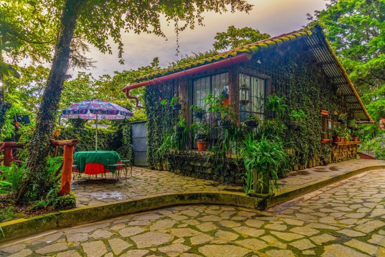 Los Naranjos Town Houses Buitenkant foto